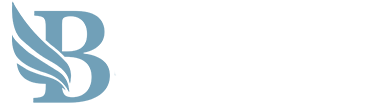 BidLight